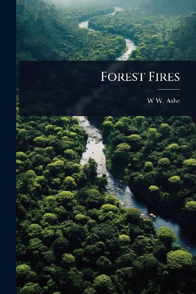 Forest Fires