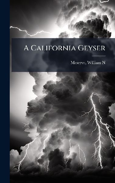A California Geyser