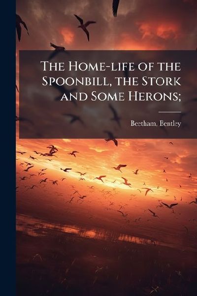 The Home-life of the Spoonbill, the Stork and Some Herons;