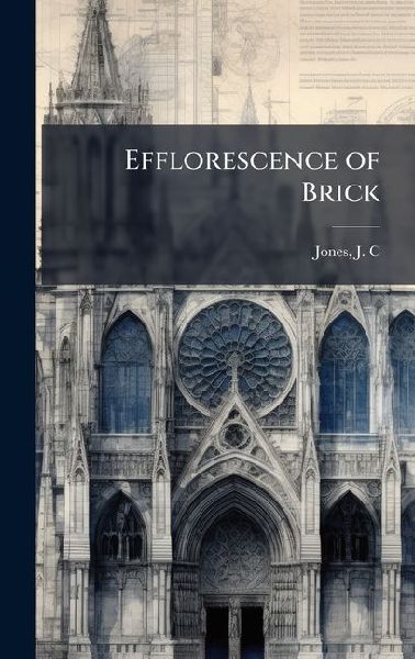 Efflorescence of Brick