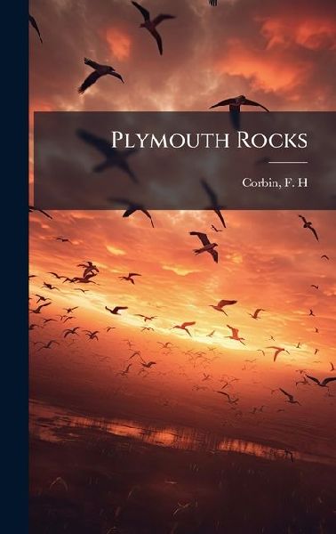 Plymouth Rocks