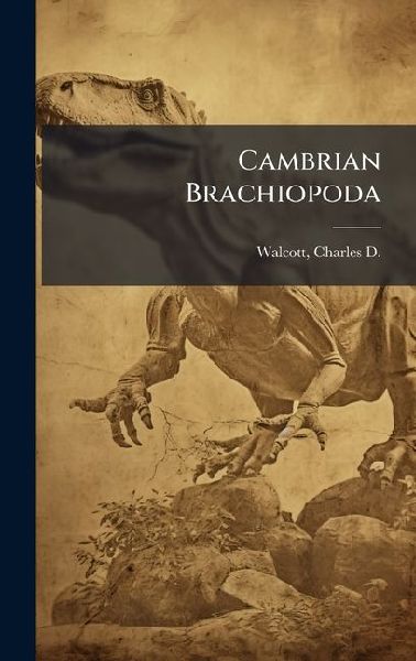 Cambrian Brachiopoda