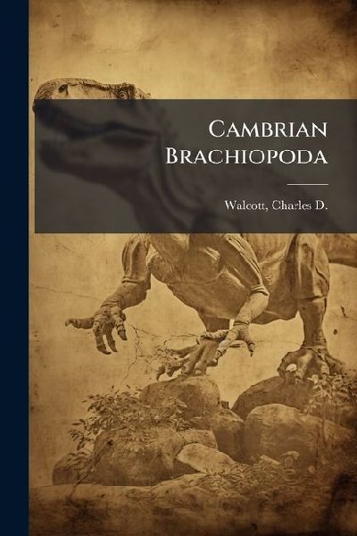Cambrian Brachiopoda