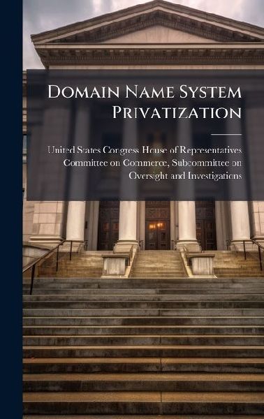Domain Name System Privatization