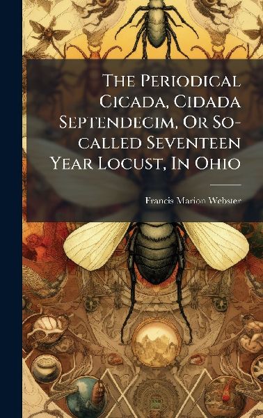 The Periodical Cicada, Cidada Septendecim, Or So-called Seventeen Year Locust, In Ohio