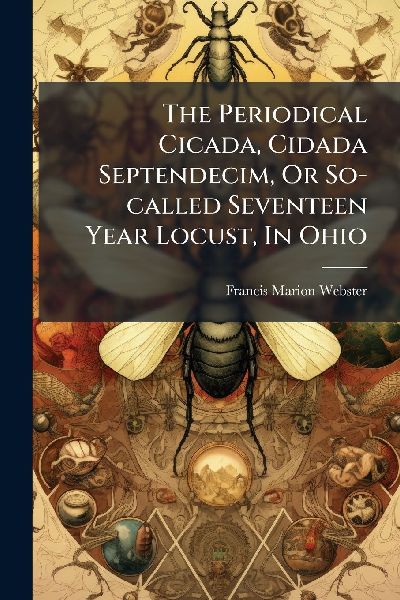 The Periodical Cicada, Cidada Septendecim, Or So-called Seventeen Year Locust, In Ohio