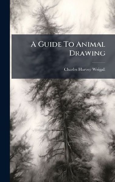 A Guide To Animal Drawing