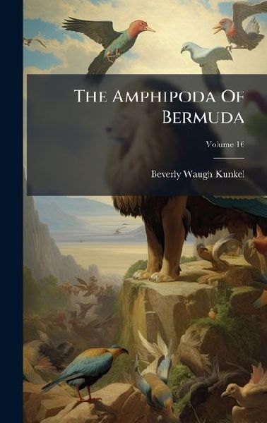 The Amphipoda Of Bermuda