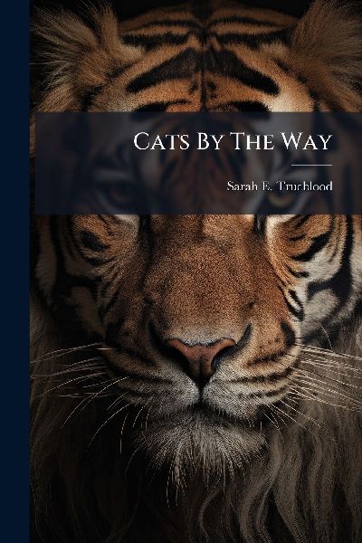 Cats By The Way