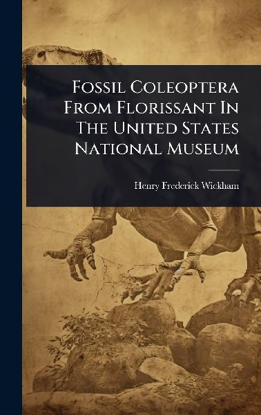 Fossil Coleoptera From Florissant In The United States National Museum