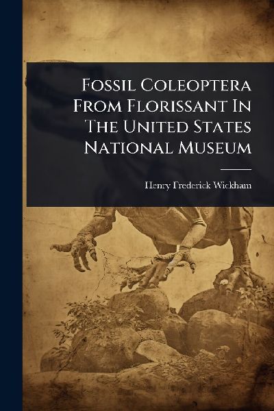 Fossil Coleoptera From Florissant In The United States National Museum