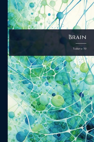 Brain