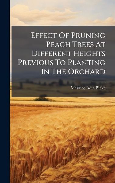 Effect Of Pruning Peach Trees At Different Heights Previous To Planting In The Orchard