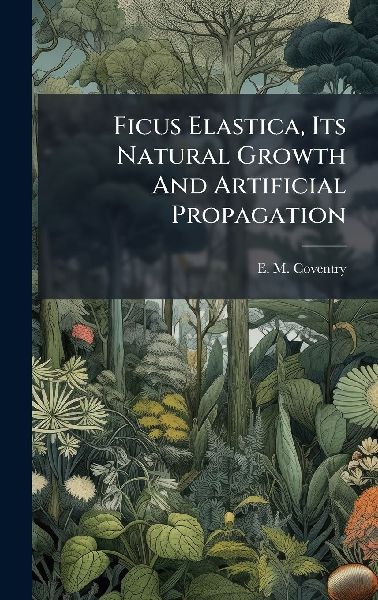 Ficus Elastica, Its Natural Growth And Artificial Propagation