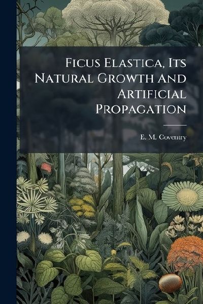 Ficus Elastica, Its Natural Growth And Artificial Propagation