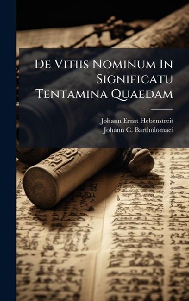 De Vitiis Nominum In Significatu Tentamina Quaedam