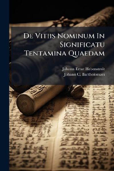 De Vitiis Nominum In Significatu Tentamina Quaedam