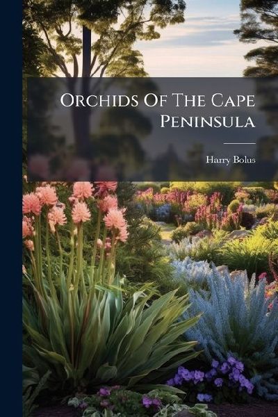 Orchids Of The Cape Peninsula