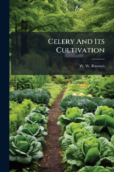 Celery And Its Cultivation