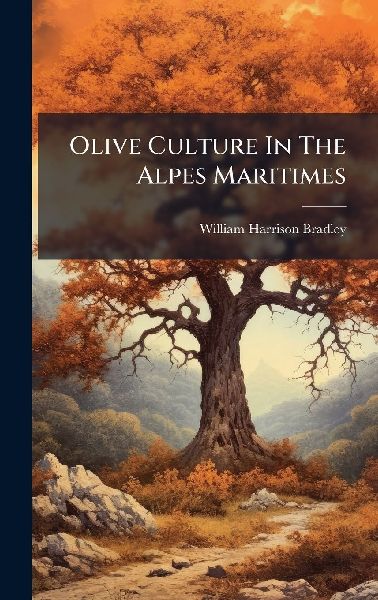 Olive Culture In The Alpes Maritimes
