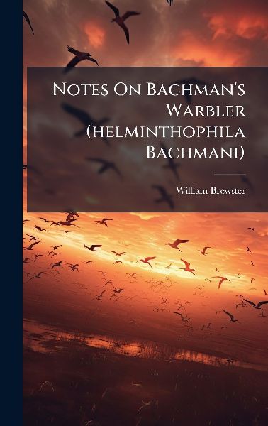 Notes On Bachmans Warbler (helminthophila Bachmani)