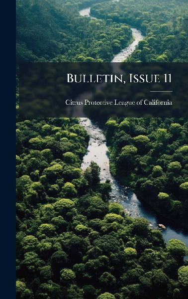 Bulletin, Issue 11