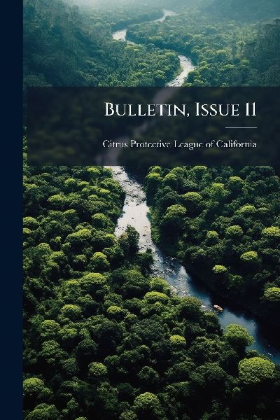 Bulletin, Issue 11