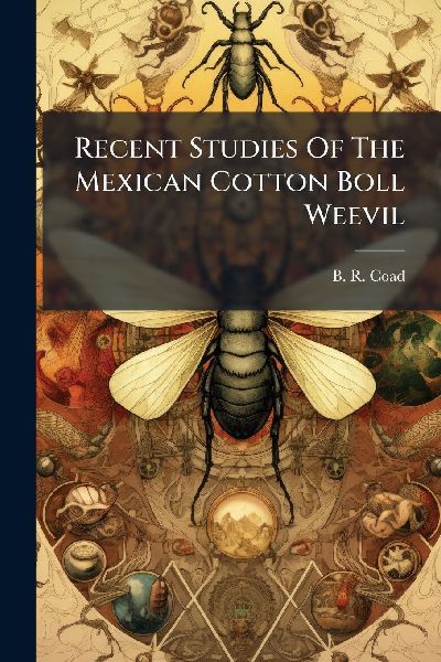 Recent Studies Of The Mexican Cotton Boll Weevil