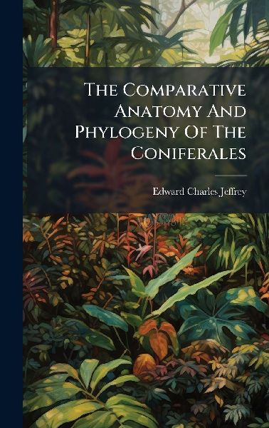 The Comparative Anatomy And Phylogeny Of The Coniferales