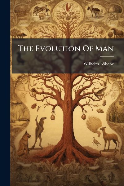 The Evolution Of Man
