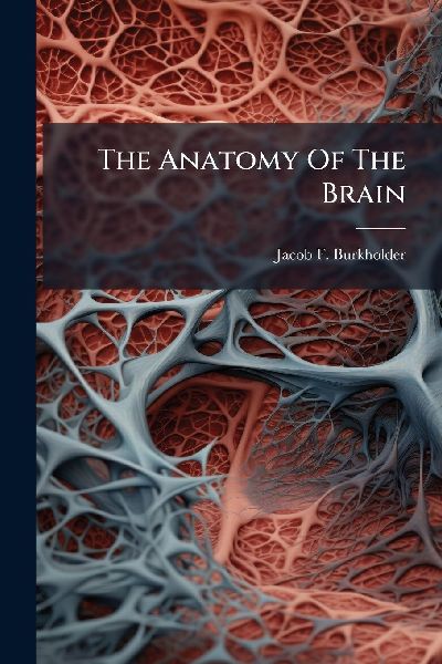 The Anatomy Of The Brain