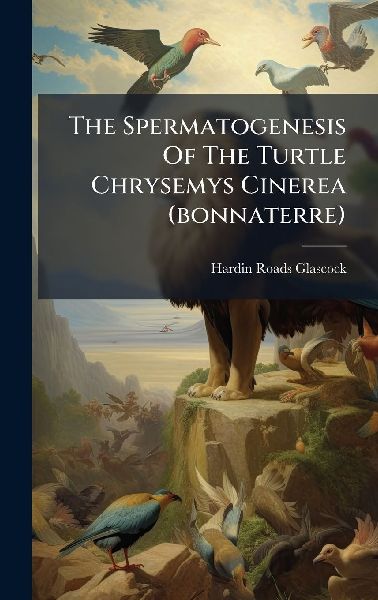 The Spermatogenesis Of The Turtle Chrysemys Cinerea (bonnaterre)