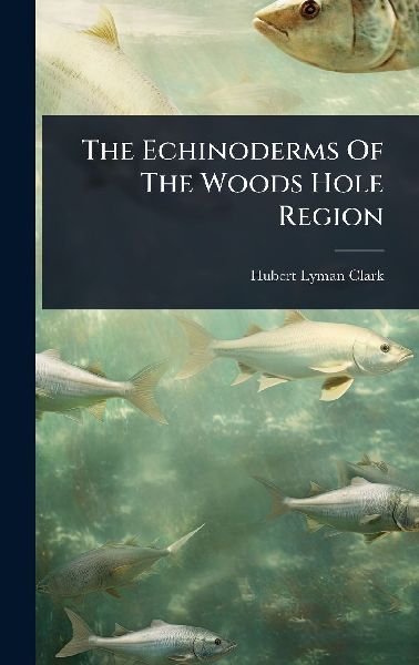 The Echinoderms Of The Woods Hole Region