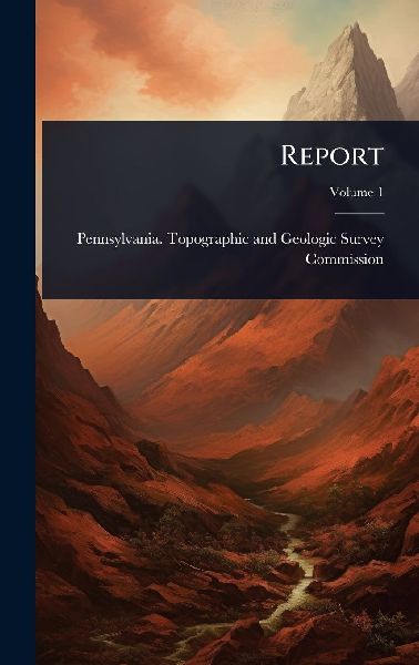 Report