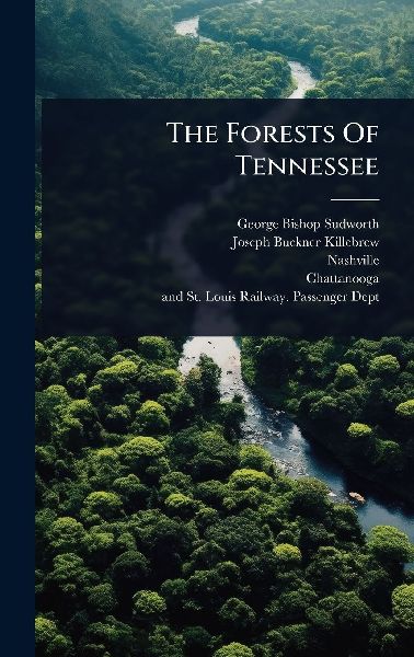 The Forests Of Tennessee