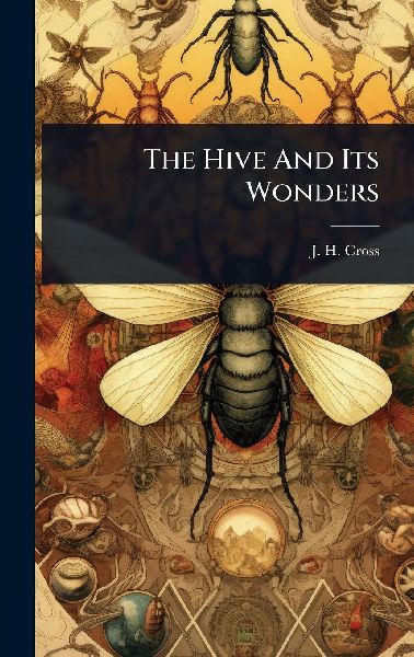 The Hive And Its Wonders