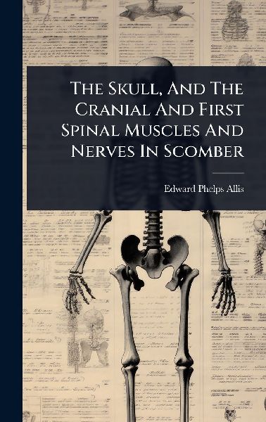 The Skull, And The Cranial And First Spinal Muscles And Nerves In Scomber