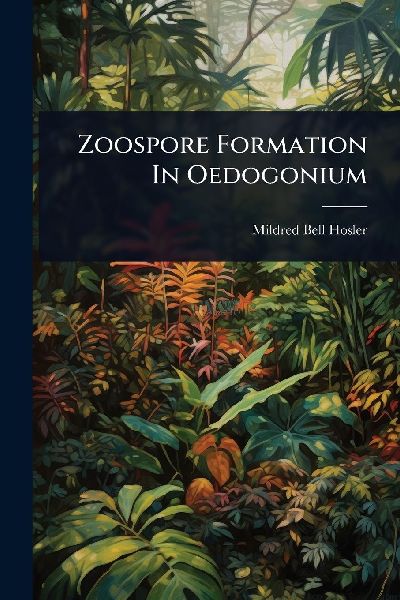 Zoospore Formation In Oedogonium