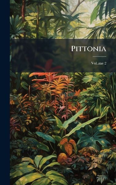 Pittonia