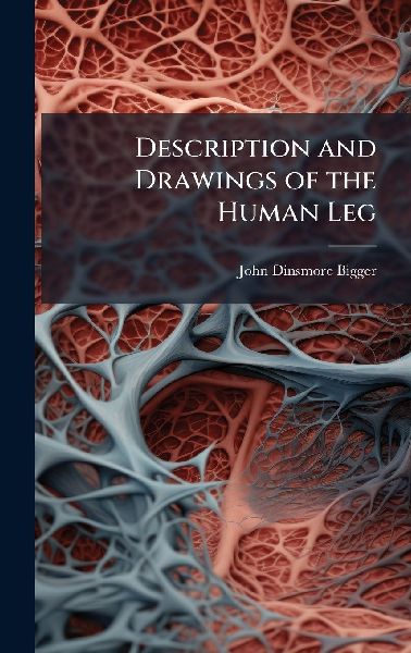Description and Drawings of the Human Leg