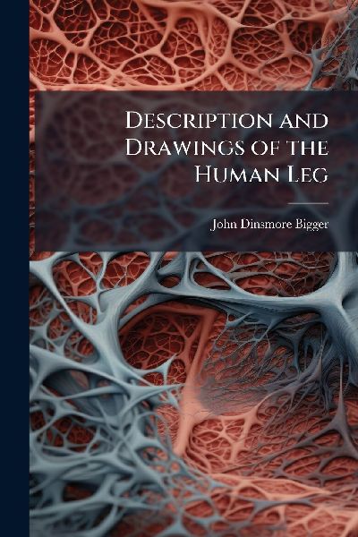 Description and Drawings of the Human Leg