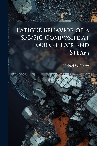 Fatigue Behavior of a SiC/SiC Composite at 1000Â°C in Air and Steam