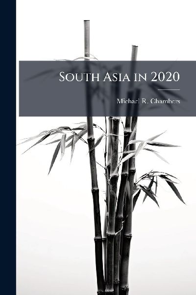South Asia in 2020