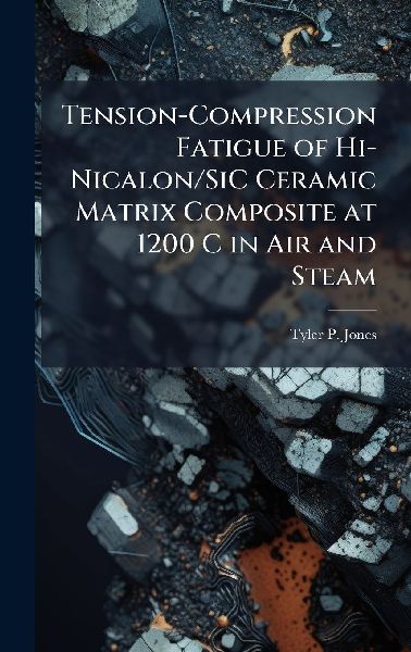 Tension-Compression Fatigue of Hi-Nicalon/SiC Ceramic Matrix Composite at 1200 C in Air and Steam