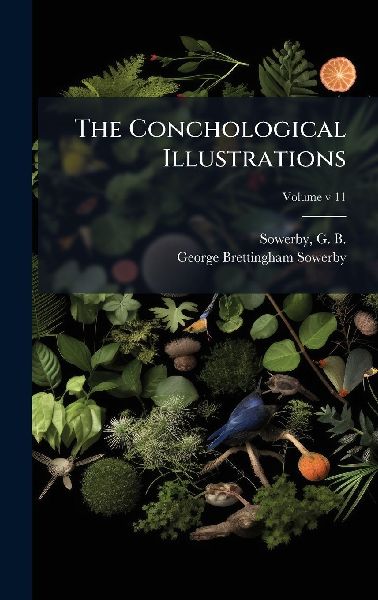 The Conchological Illustrations