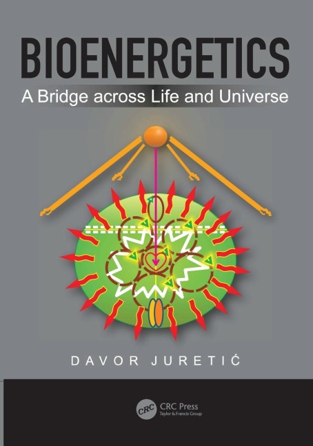 Bioenergetics: A Bridge across Life and Universe
