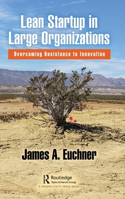 Lean Startup in Large Organizations: Overcoming Resistance to Innovation