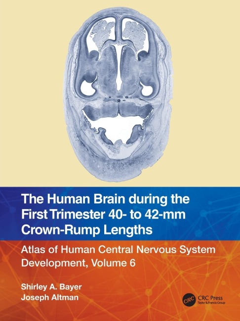 The Human Brain during the First Trimester 40- to 42-mm Crown-Rump Lengths: Atlas of Human Central Nervous System Development, Volume 6