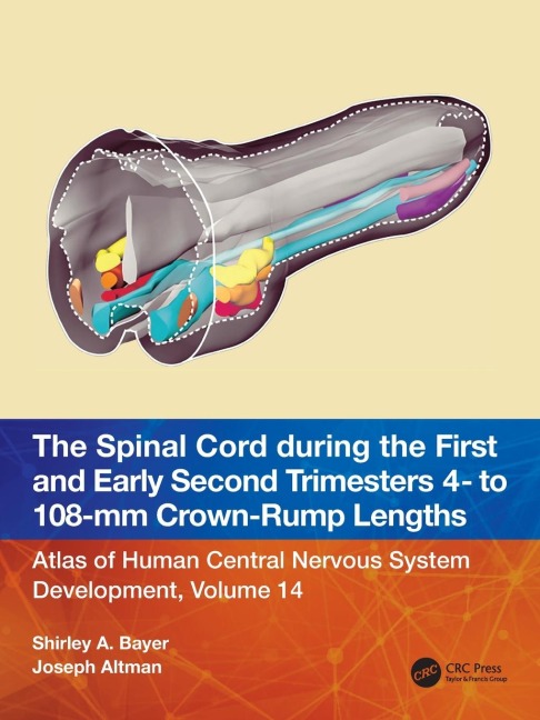 The Spinal Cord during the First and Early Second Trimesters 4- to 108-mm Crown-Rump Lengths: Atlas of Human Central Nervous System Development, Volume 14