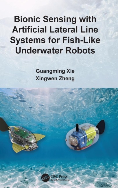 Bionic Sensing with Artificial Lateral Line Systems for Fish-Like Underwater Robots